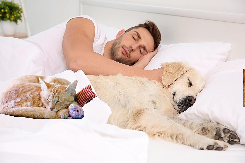 Dirty or Down Right Nasty? Texas' Co-Sleeping Habits With Pets