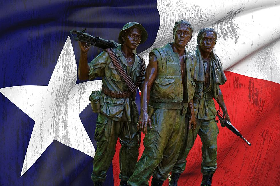 Texas, Remember to Honor Our Vietnam Veterans On March 29th
