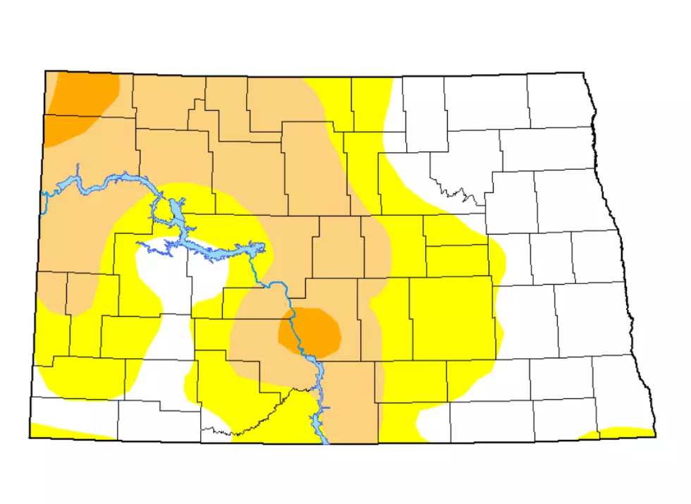Drought Conditions Worsen in Divide, Williams Counties