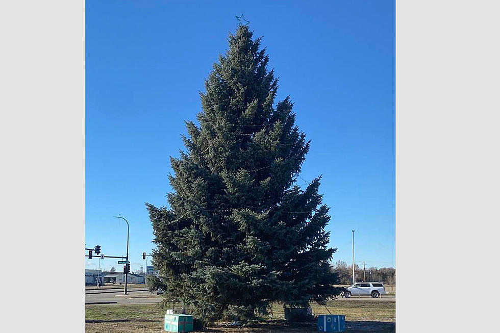 City of Williston Invites Community to Annual Community Christmas Tree Lighting