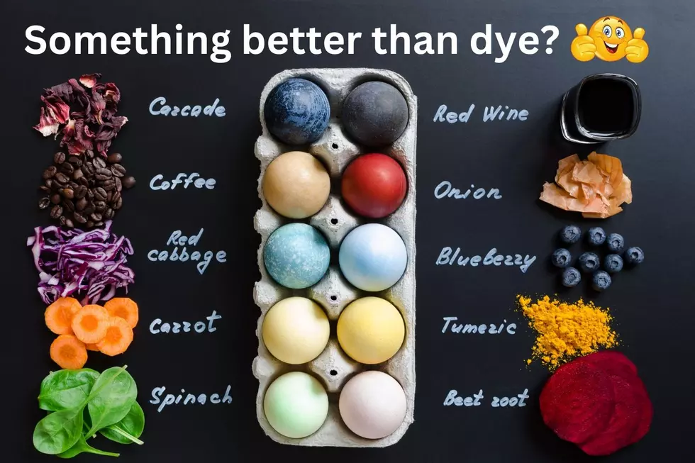 Egg-citing Easter in North Dakota: Ditching Dyes for Natural Hues