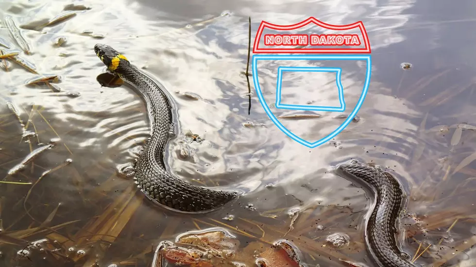 North Dakota Is Home To The Most Snake Infested River In The Nation