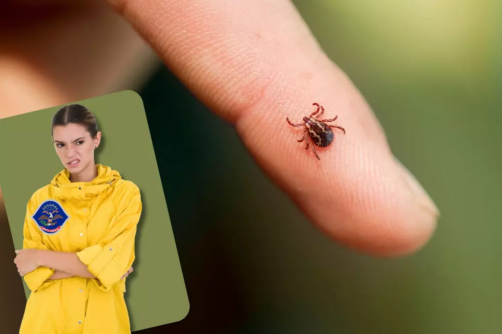 Tick Prevention in North Dakota: How to Protect Yourself and Your Famil
