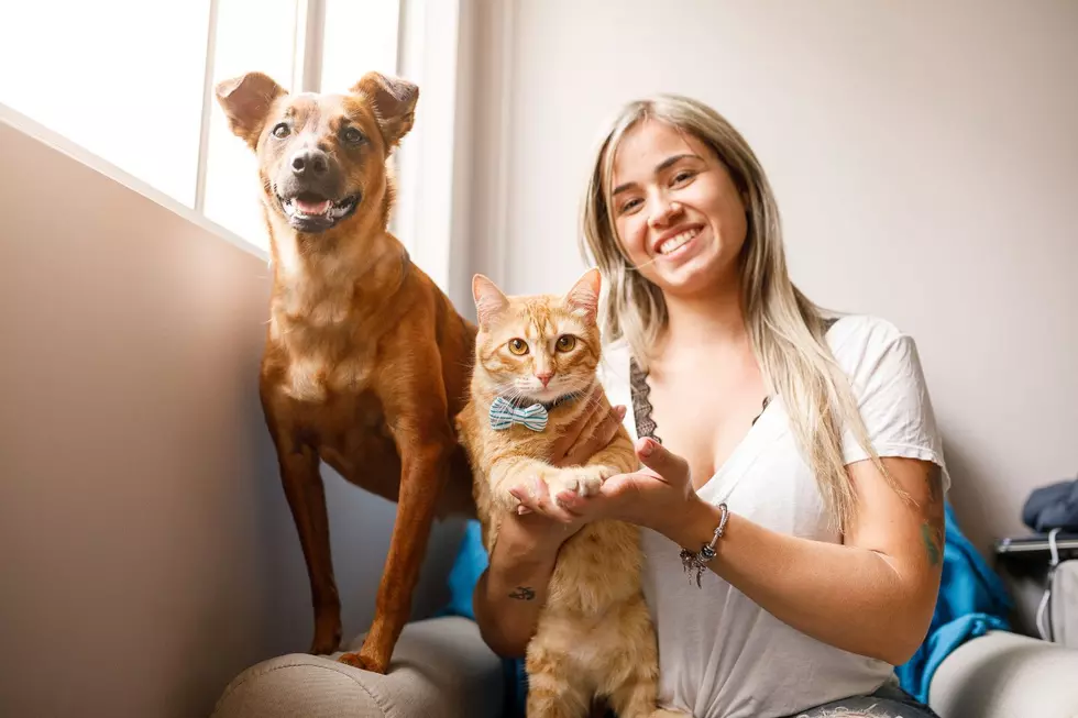 Fostering Pets in North Dakota: Making a Difference, One Fur Baby at a Time