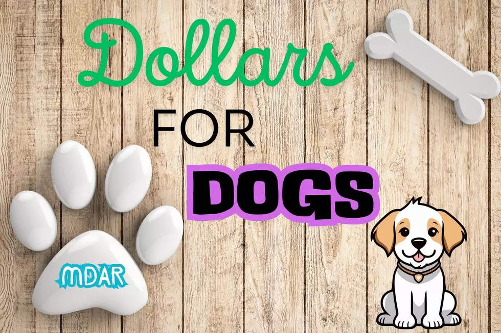 Double Your Impact: Donate To &#8216;Dollars For Dogs&#8217; With Mondak Animal Rescue in Williston, ND