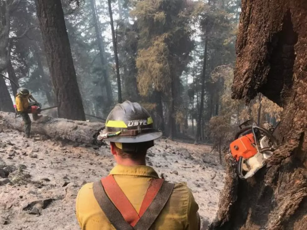 OFM: Now Is The Time To Prepare For Wildfire Season