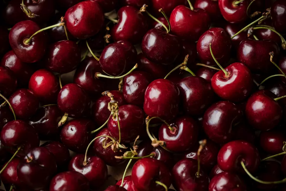 Cherry Producers Out With First Estimate Of The Season