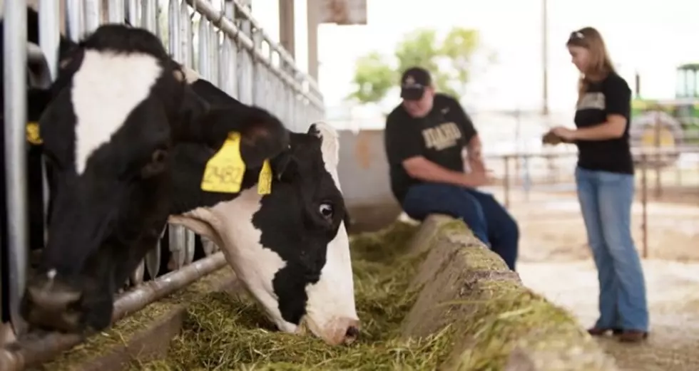 UI Awarded $10M Grant To Expand Dairy’s Bio Economy