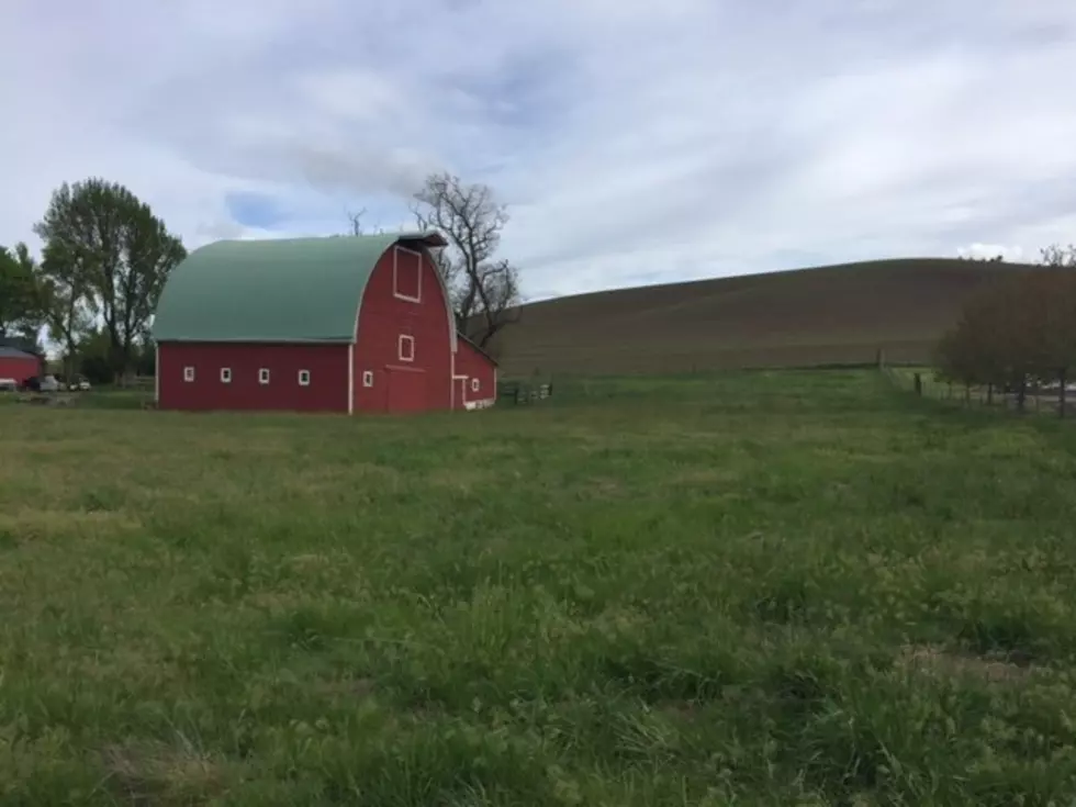 Higher Interest Rates Slow the Growth in Farmland Values