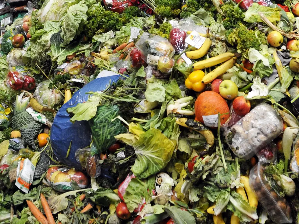 Expert Looks At The Global Impact Of Food Waste