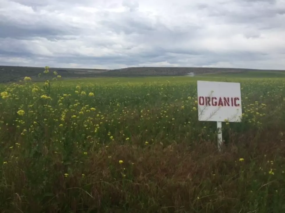 USDA to Gather New Data on Certified Organic Production