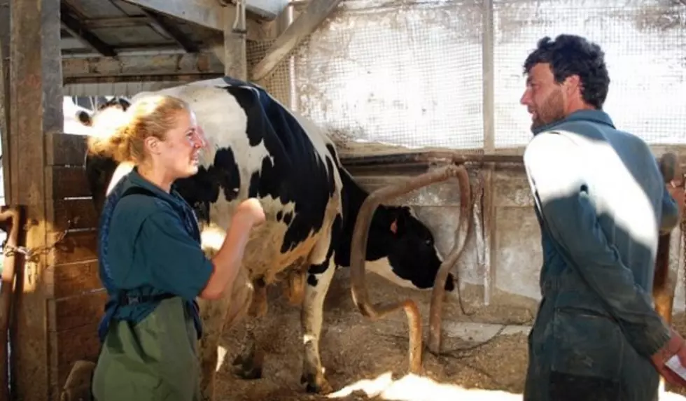 Leibsle: More Needs To Be Done To Encourage Young People To Become Production Veterinarians