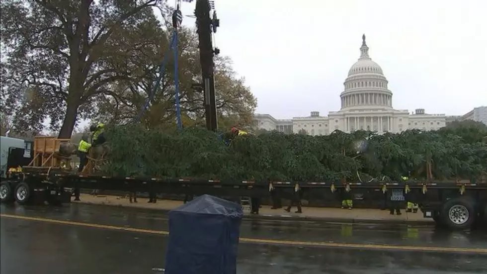 Christmas In Washington D.C.