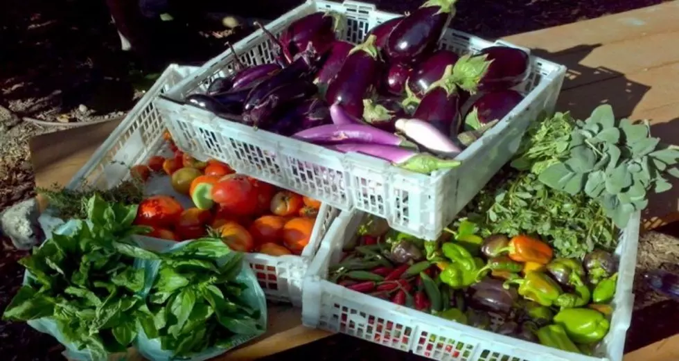 Farmers Market Minute: Don’t Let The Cold Spring Hold Your Back From Your Local Market