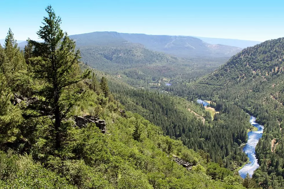 Research Helps Forest Restoration in Oregon