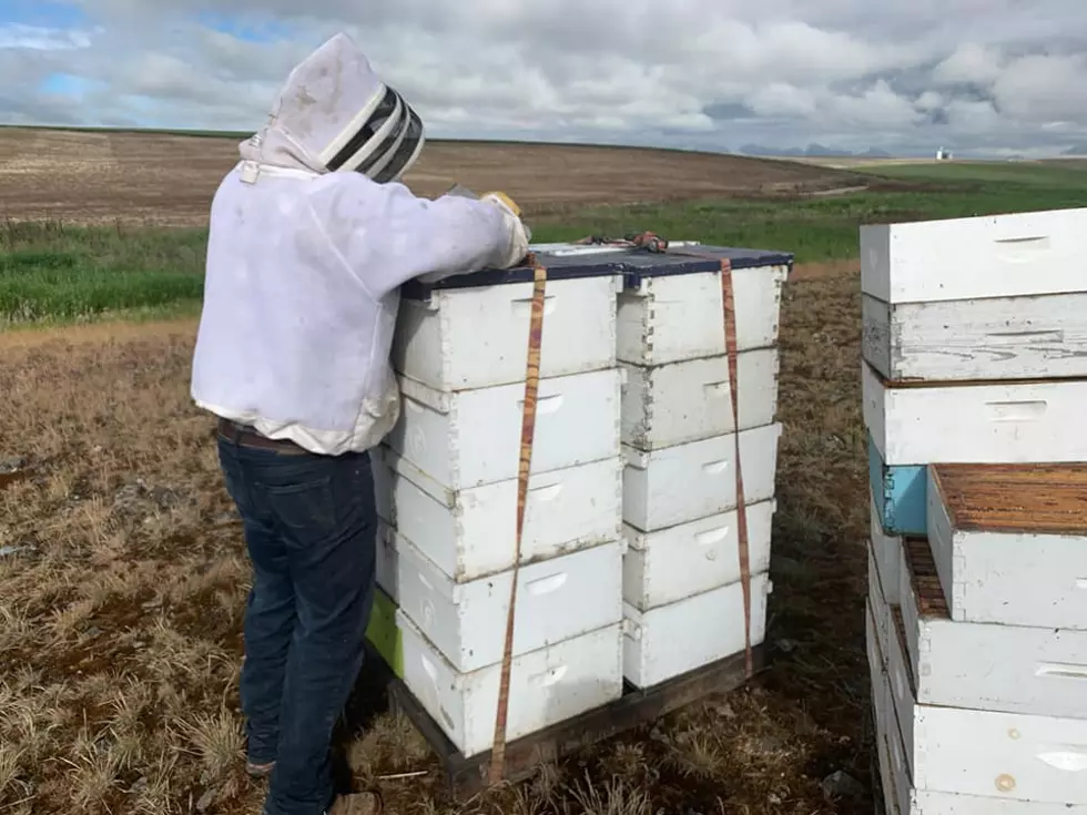 Lincoln County Makes Arrest In Hive Thefts