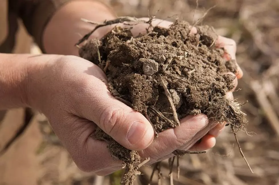 PhycoTerra Minute: Waking Up Your Soil