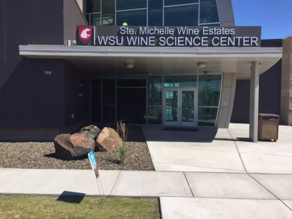 Wine Minute: What’s Happening At The WSU Wine Science Center