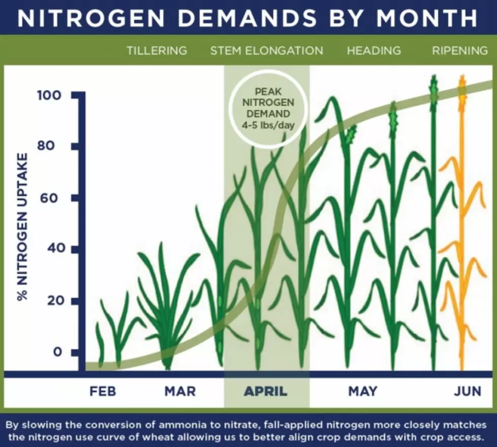 Salois: Keeping Nitrogen When &#038; Where Winter Wheat Needs It Vital For Top Yields