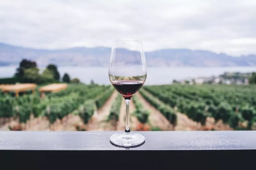 Wine Minute: Sustainability In The Washington Wine Industry