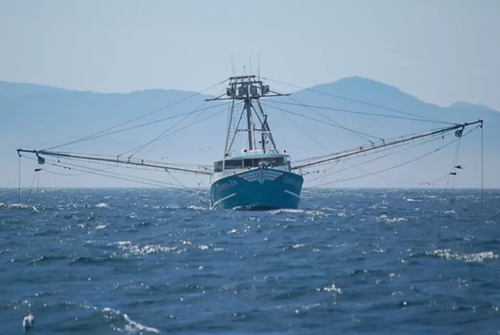 WDFW Seeks Comments On 2023 Ocean Salmon Fisheries