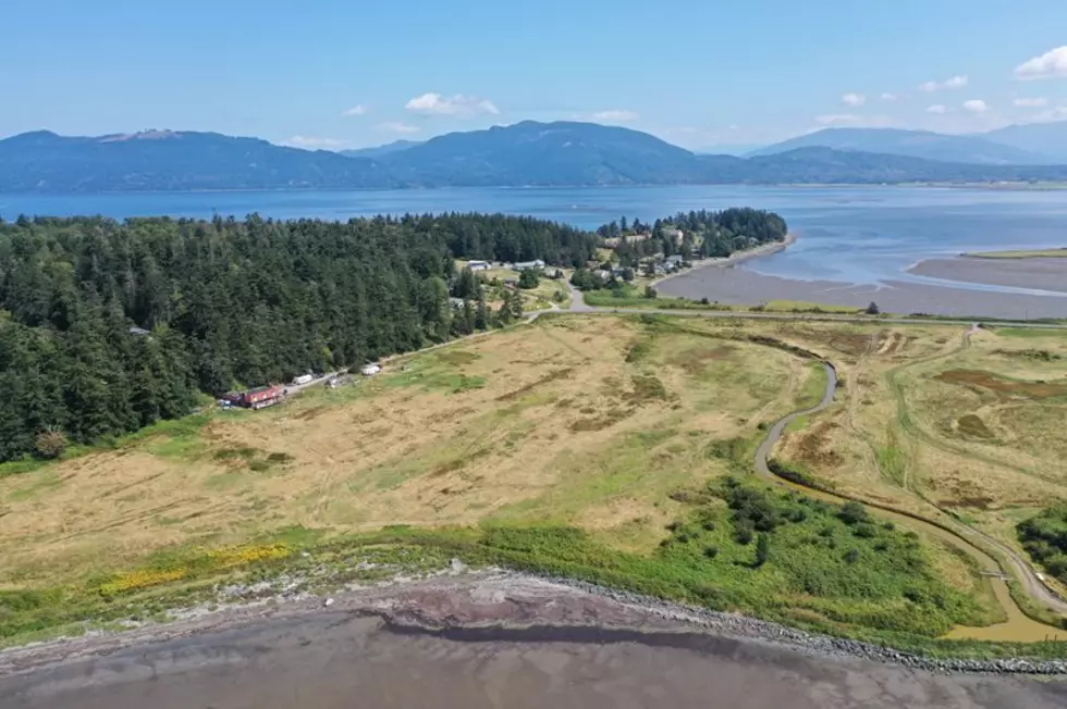 Washington Ecology Secures $3.6M To Protect Coastal Wetlands
