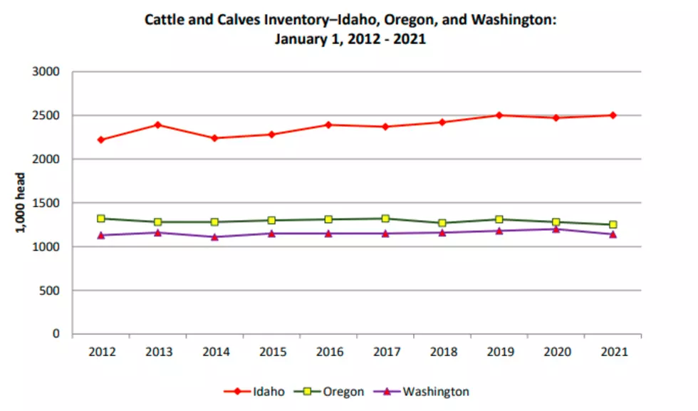 Northwest, U.S. Cattle Inventory Down Slightly