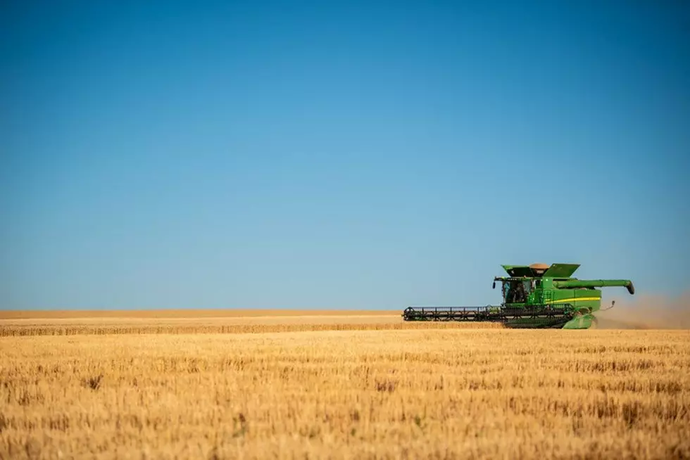 Australia, Russia Impact World Wheat Picture 