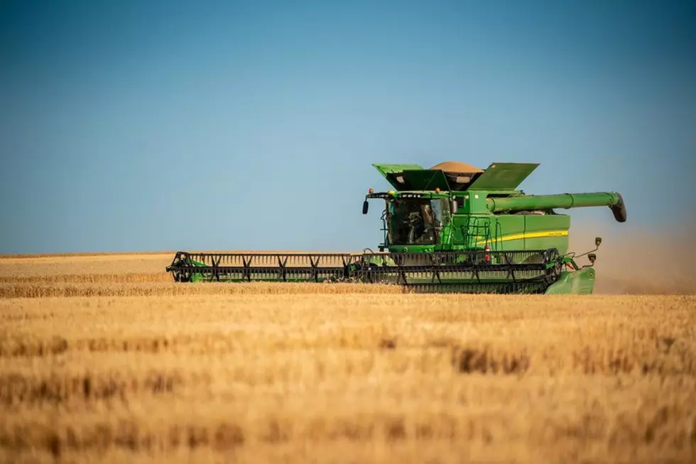 Spring Wheat Harvest Ahead Of Schedule