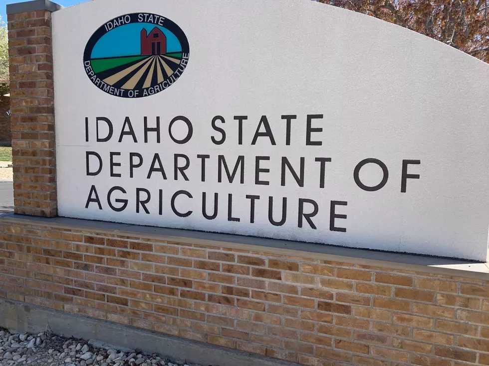 Idaho Pest Survey Underway