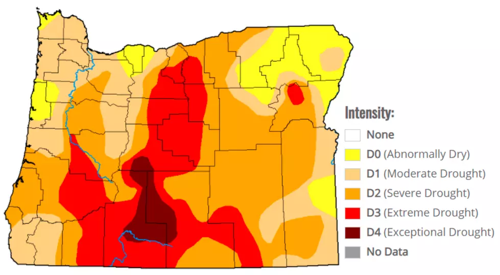 Coos, Curry Counties Receive Drought Designation