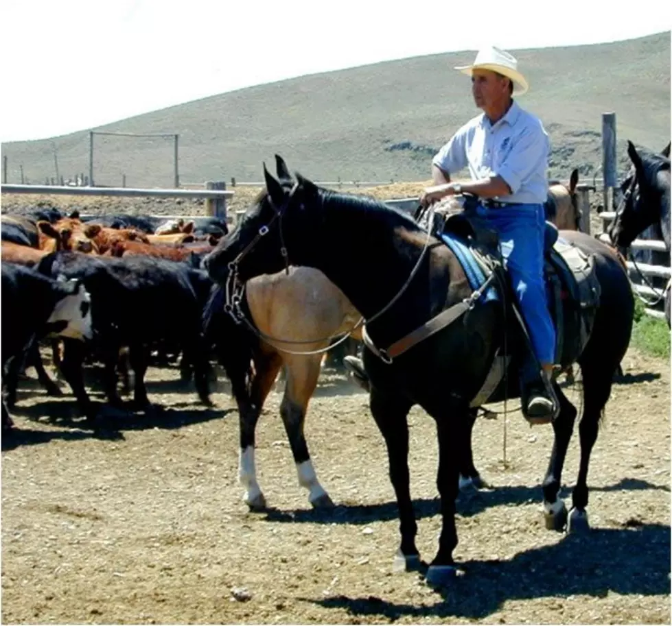 Carbon Market An Opportunity For Ranchers