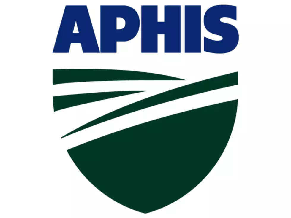 APHIS Continues Efforts To Prevent Pest Problems