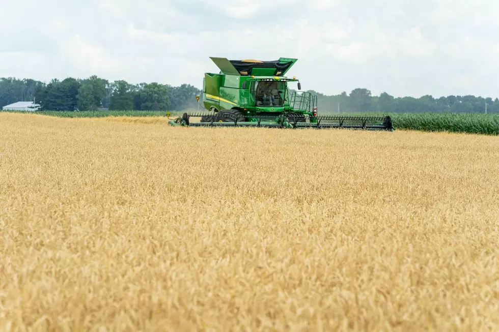 Idaho Man Announced National Wheat Yield Contest Winner