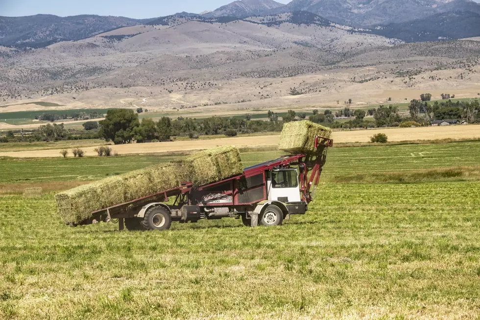 Soil Health With Monty’s: Helping Alfalfa Growers