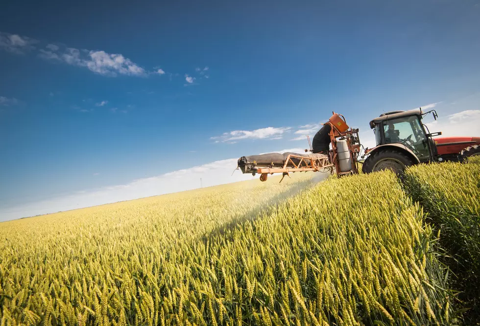 Improve Your Pesticide Performance: What Impact Does Water Have?