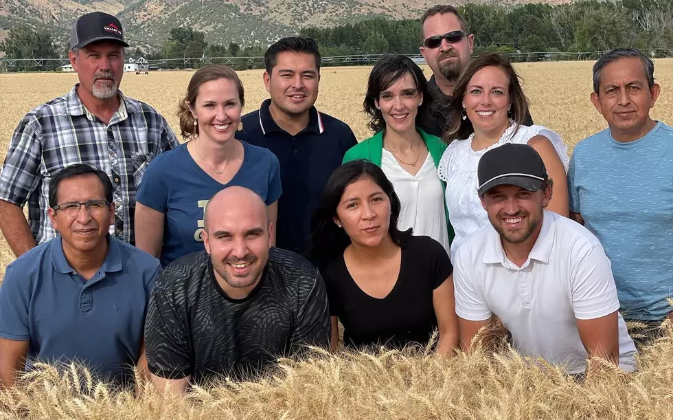 After Two Year Hiatus, Idaho Wheat Hosts Trade Teams 