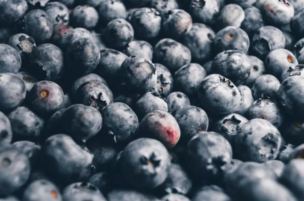 Blueberry Industry Continues To Evolve, Grow