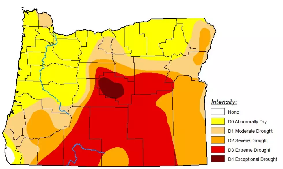Wyden, Merkley, Ask Reclamation To Help Drought Stricken Oregon 