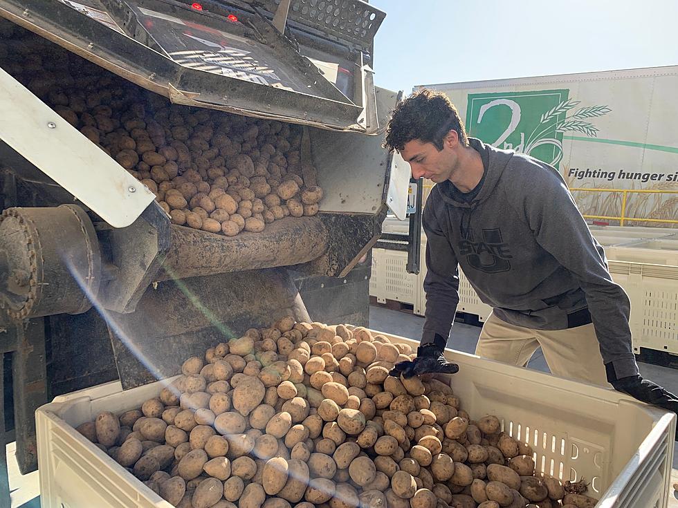 Lamb Weston Donates 70K Pounds Of Potatoes To 2nd Harvest