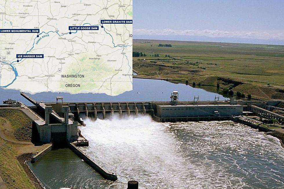 Columbia Snake River Irrigators Support LSRDam Breaching Agreement