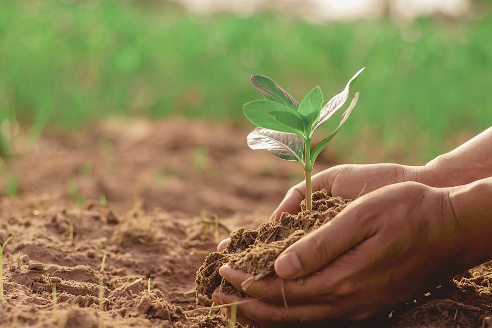 Making Soils Data Actionable Webinar: Free Guidance on Soil Data