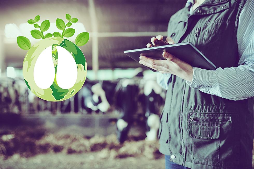 Your Farm, Your Footprint: Revolutionizing Dairy Sustainability