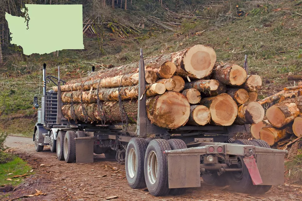 Loggers Workshop in Colville, WA welcomes foresters on March 25