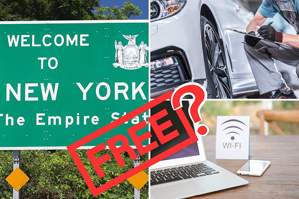 Should These 10 Things Be Free in New York?