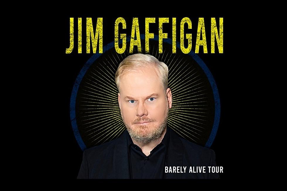 Jim Gaffigan is Coming to Buffalo, New York