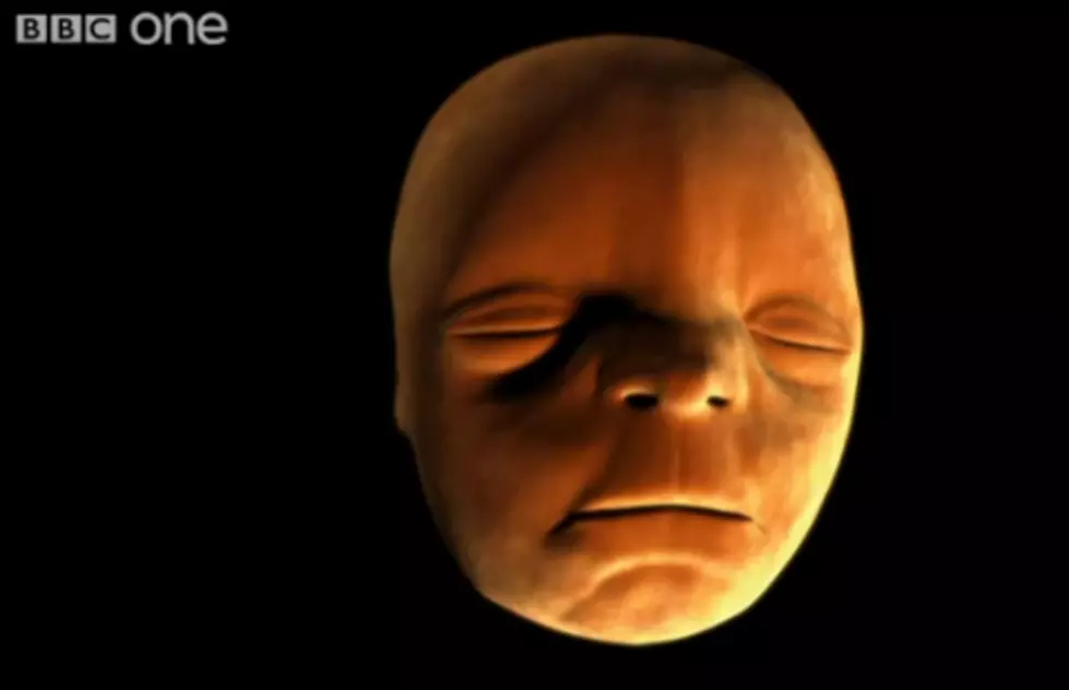 Watch How The Human Face is Created [VIDEO]