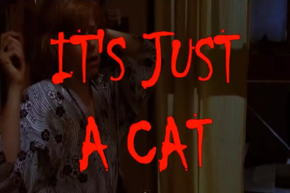 What’s With All the Cats in Horror Movies? [VIDEO]