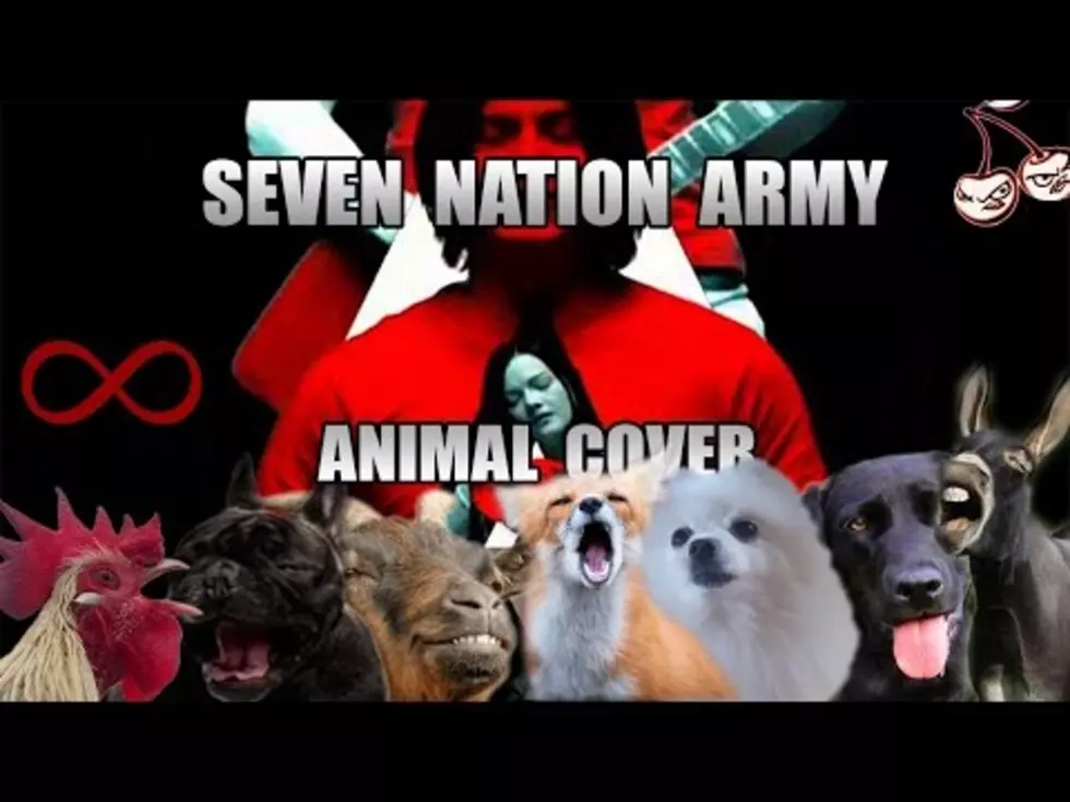 Animals Sing The White Stripes – Seven Nation Army
