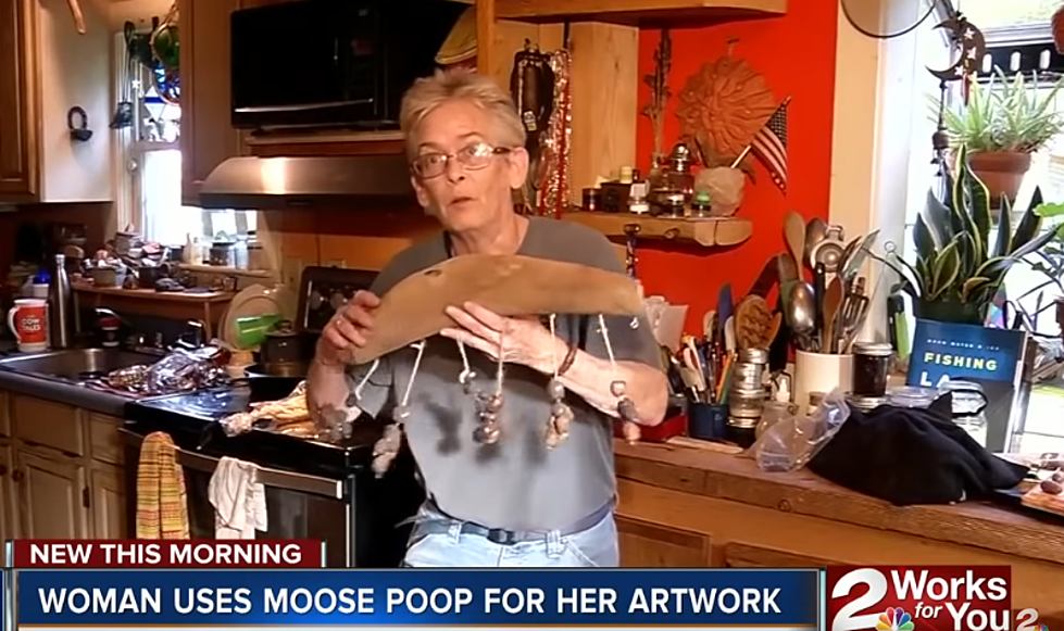 This Lady Is Way To Enthusiastic About Her Poop Art